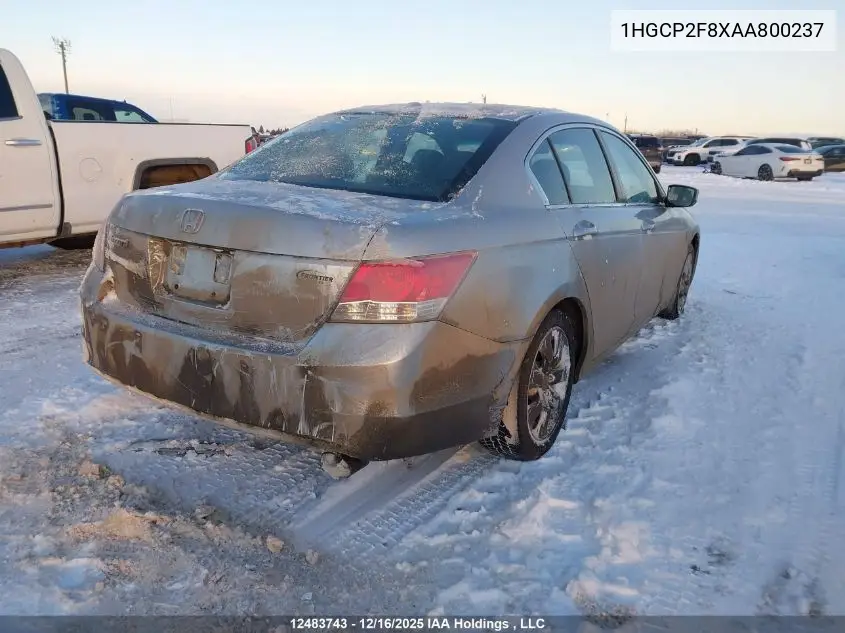 1HGCP2F8XAA800237 2010 Honda Accord Sedan