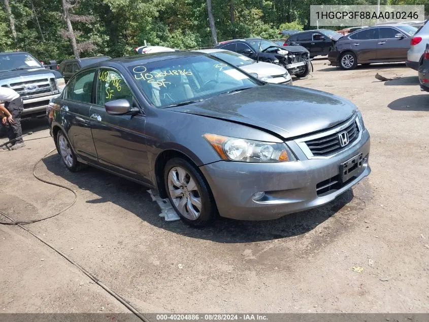 2010 Honda Accord 3.5 Ex-L VIN: 1HGCP3F88AA010246 Lot: 40204886