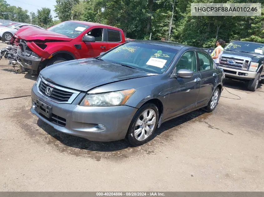 2010 Honda Accord 3.5 Ex-L VIN: 1HGCP3F88AA010246 Lot: 40204886