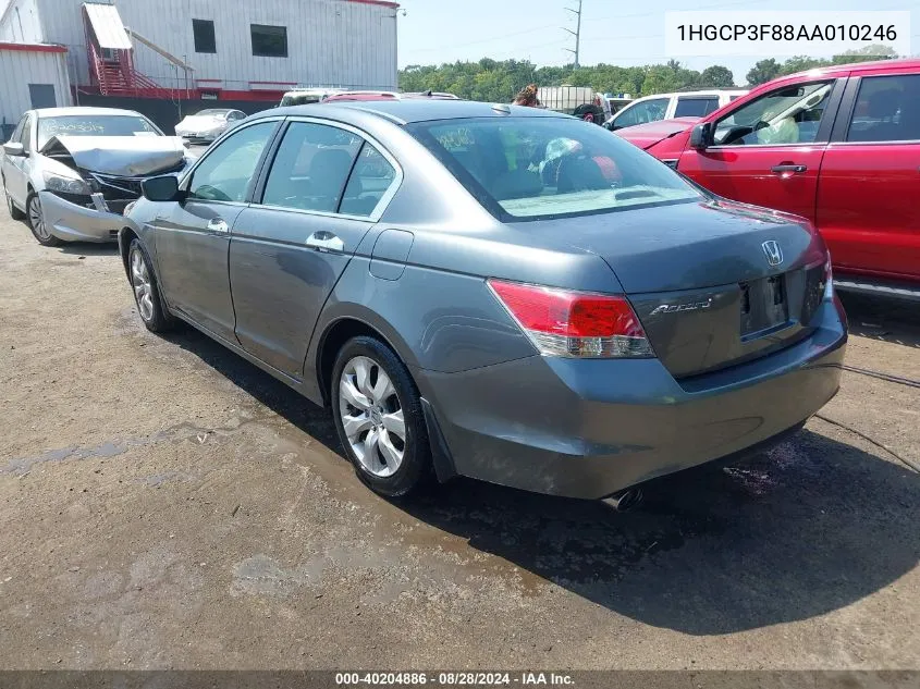 2010 Honda Accord 3.5 Ex-L VIN: 1HGCP3F88AA010246 Lot: 40204886