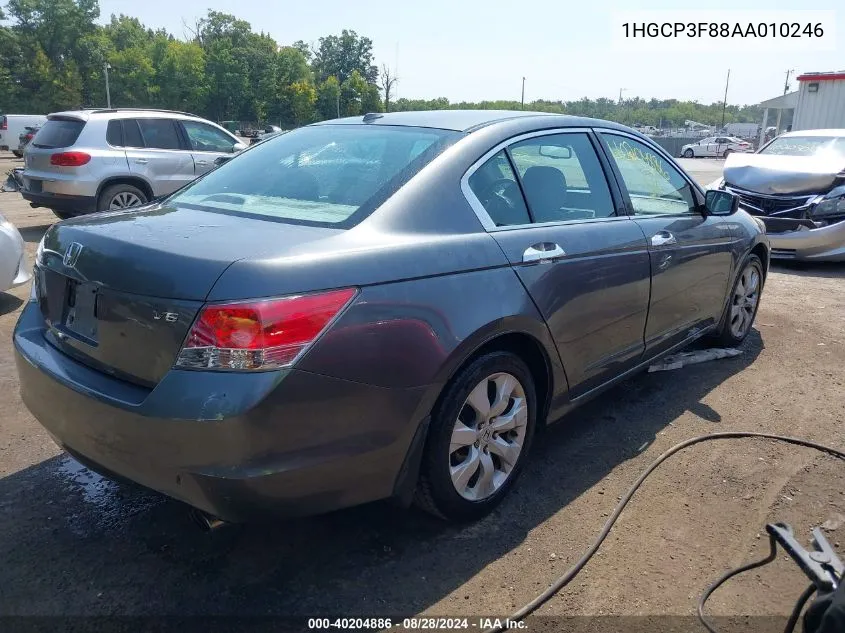 2010 Honda Accord 3.5 Ex-L VIN: 1HGCP3F88AA010246 Lot: 40204886