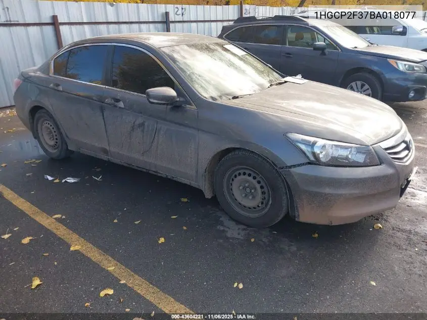 1HGCP2F37BA018077 2011 Honda Accord 2.4 Lx