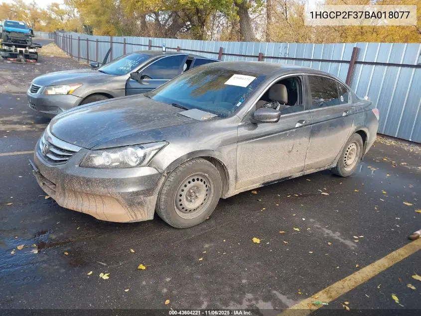 1HGCP2F37BA018077 2011 Honda Accord 2.4 Lx