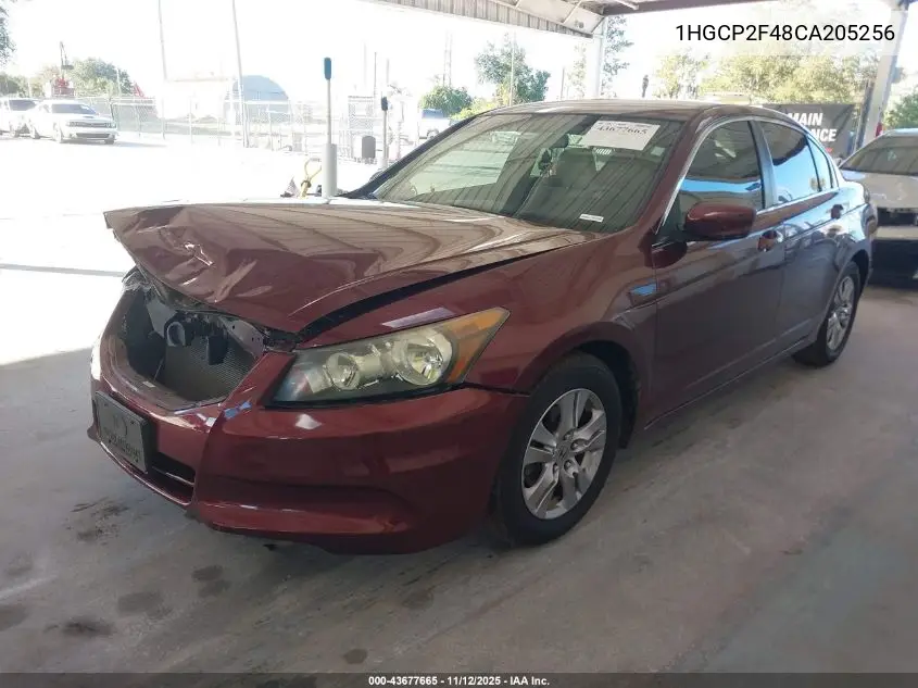 1HGCP2F48CA205256 2012 Honda Accord 2.4 Lx-P