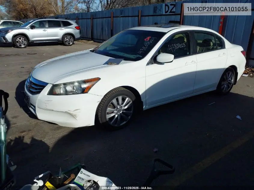 1HGCP2F80CA101055 2012 Honda Accord 2.4 Ex-L