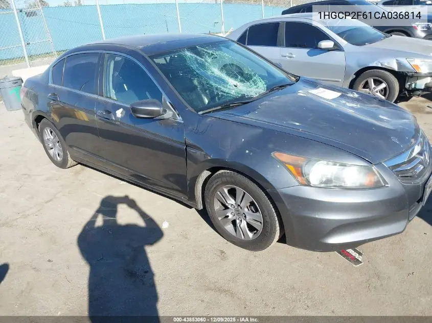 1HGCP2F61CA036814 2012 Honda Accord 2.4 Se