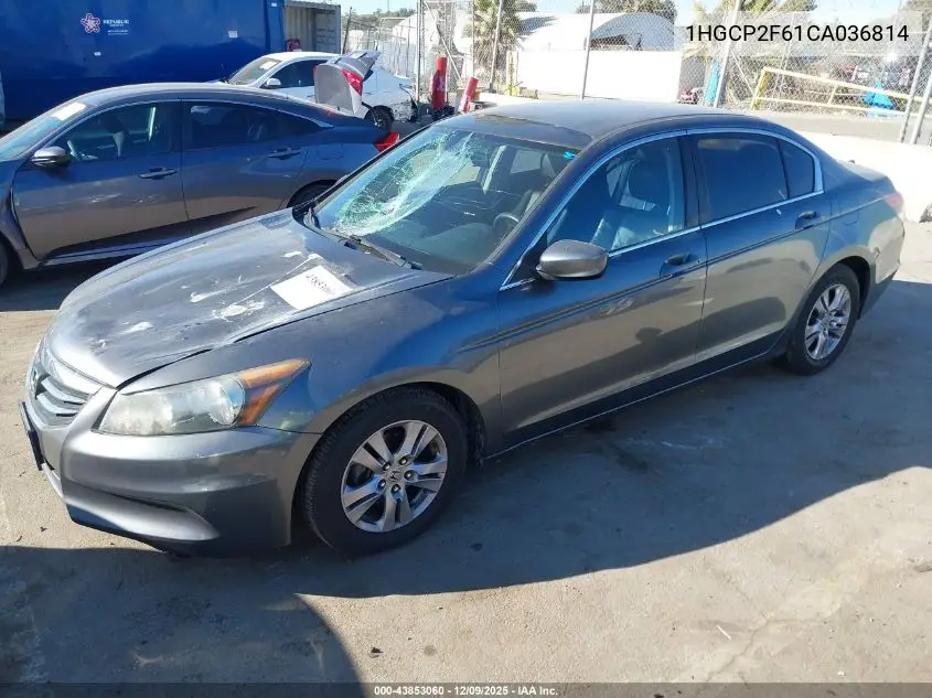 1HGCP2F61CA036814 2012 Honda Accord 2.4 Se