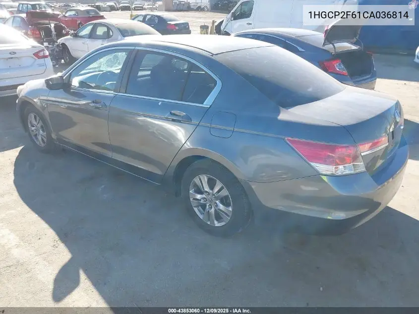 1HGCP2F61CA036814 2012 Honda Accord 2.4 Se