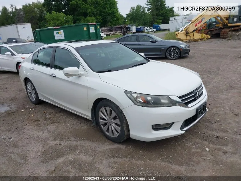 2013 Honda Accord Sedan VIN: 1HGCR2F87DA800789 Lot: 12062543