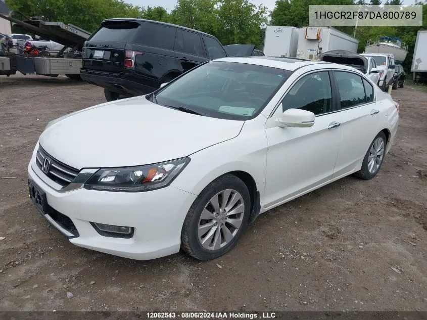 2013 Honda Accord Sedan VIN: 1HGCR2F87DA800789 Lot: 12062543