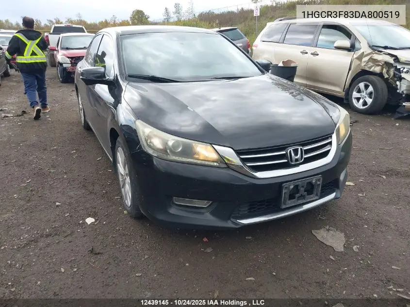 1HGCR3F83DA800519 2013 Honda Accord Ex-L V6