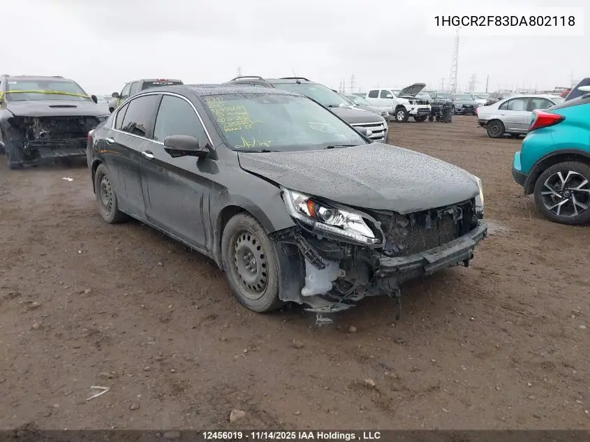 1HGCR2F83DA802118 2013 Honda Accord Ex-L