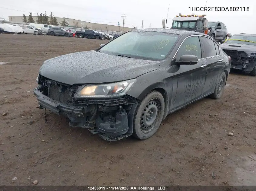 1HGCR2F83DA802118 2013 Honda Accord Ex-L