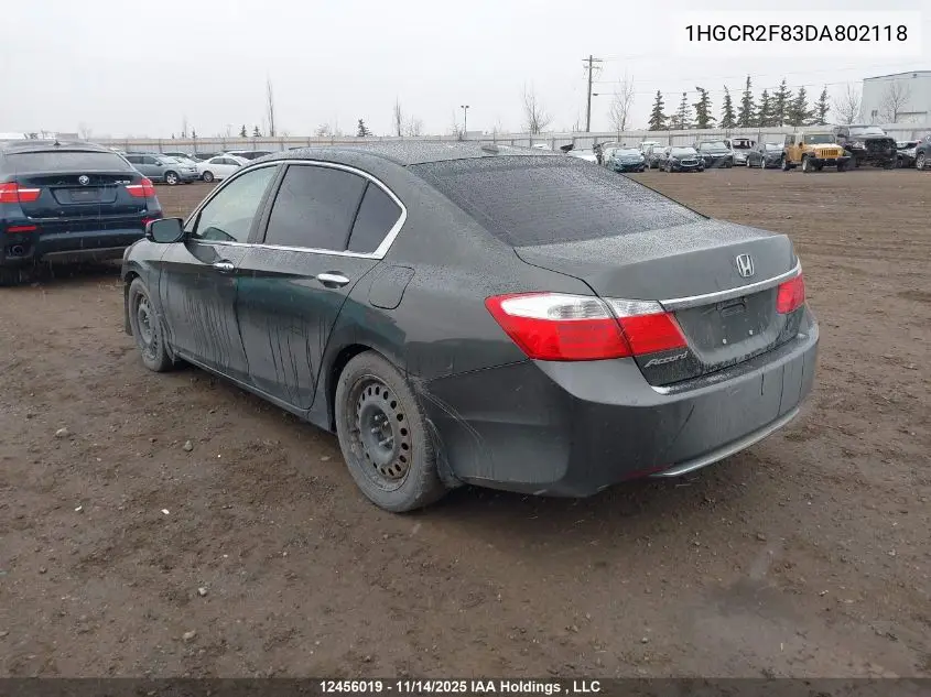 1HGCR2F83DA802118 2013 Honda Accord Ex-L