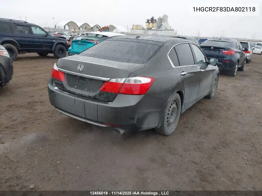 1HGCR2F83DA802118 2013 Honda Accord Ex-L