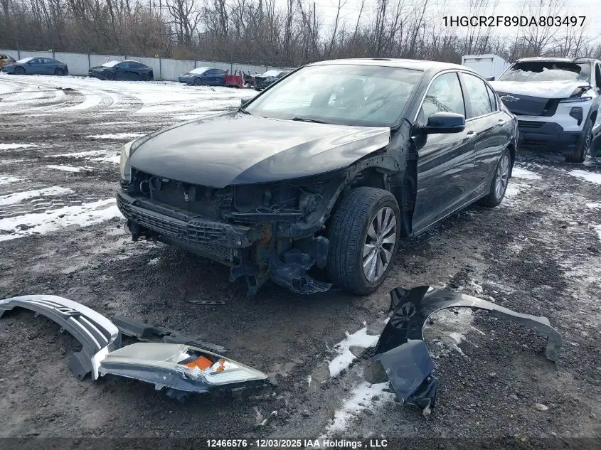 1HGCR2F89DA803497 2013 Honda Accord Exl