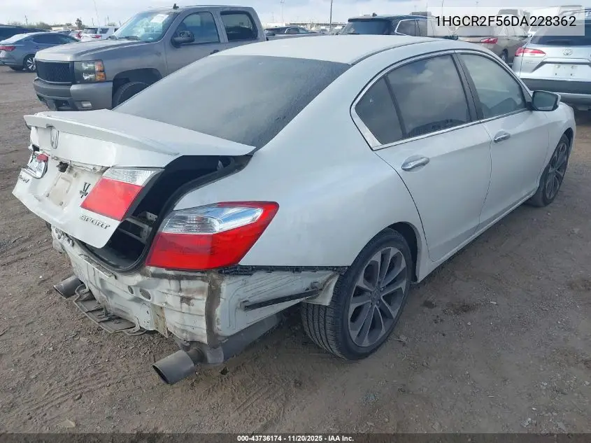 1HGCR2F56DA228362 2013 Honda Accord Sport
