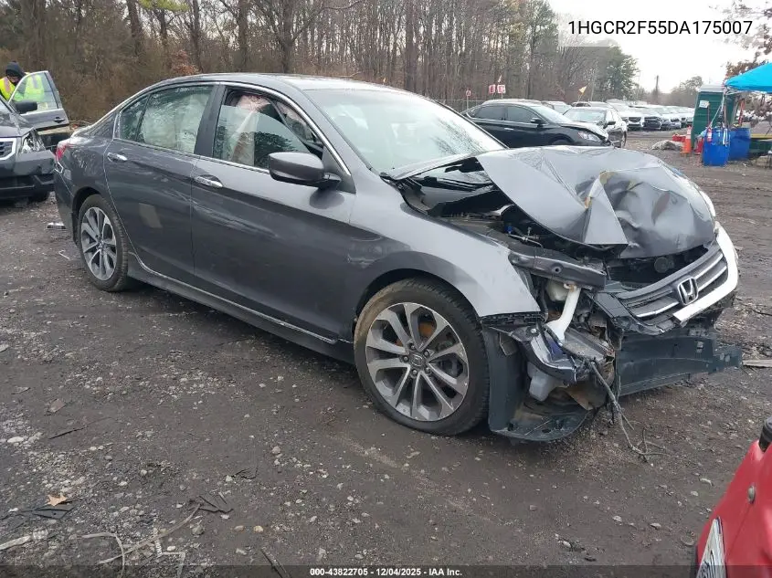 1HGCR2F55DA175007 2013 Honda Accord Sport