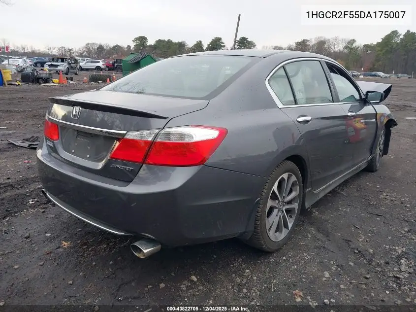 1HGCR2F55DA175007 2013 Honda Accord Sport