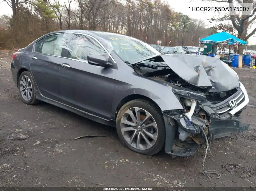 1HGCR2F55DA175007 2013 Honda Accord Sport