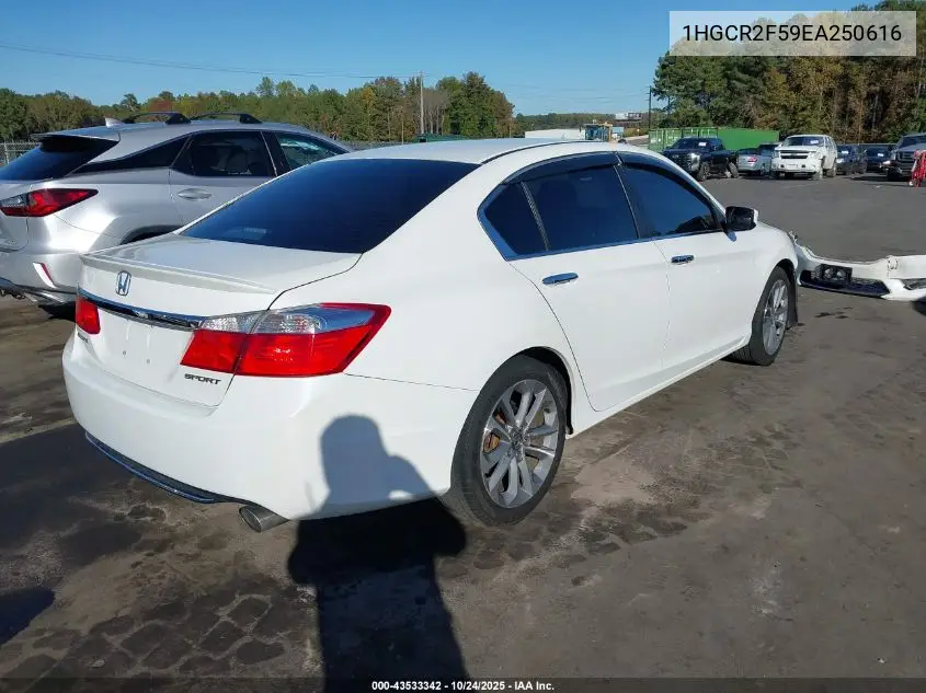 1HGCR2F59EA250616 2014 Honda Accord Sport