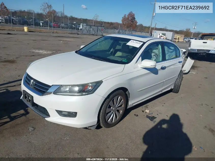 1HGCR2F71EA239692 2014 Honda Accord Ex