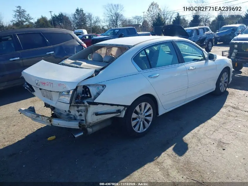 1HGCR2F71EA239692 2014 Honda Accord Ex