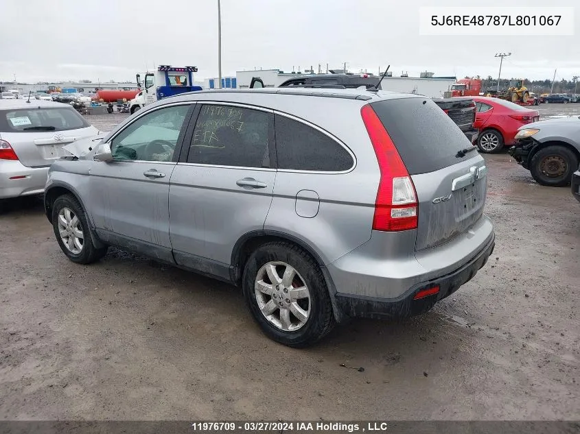 2007 Honda Cr-V Exl VIN: 5J6RE48787L801067 Lot: 11976709