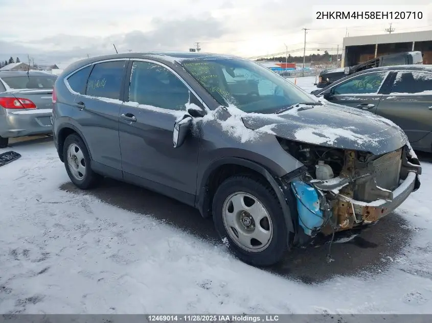 2HKRM4H58EH120710 2014 Honda Cr-V Ex