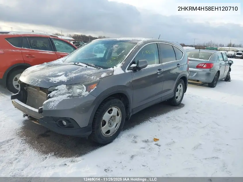 2HKRM4H58EH120710 2014 Honda Cr-V Ex