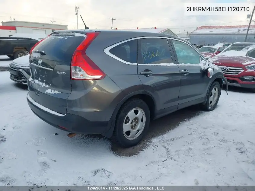 2HKRM4H58EH120710 2014 Honda Cr-V Ex