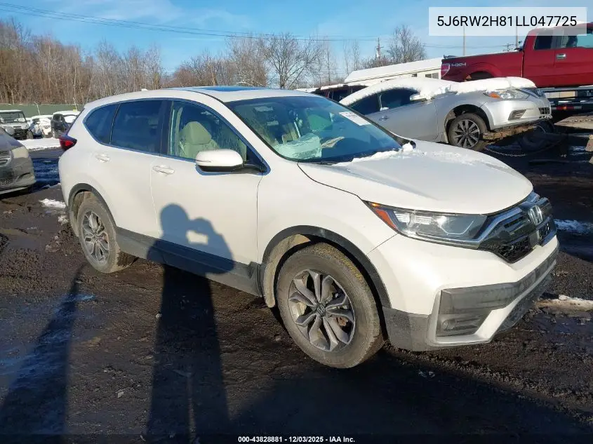 5J6RW2H81LL047725 2020 Honda Cr-V Awd Ex-L