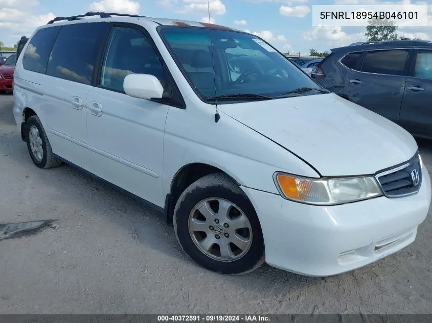 2004 Honda Odyssey Ex-L VIN: 5FNRL18954B046101 Lot: 40372591