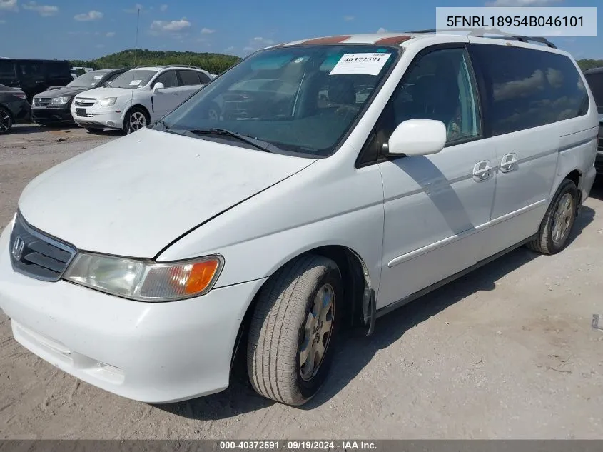 2004 Honda Odyssey Ex-L VIN: 5FNRL18954B046101 Lot: 40372591