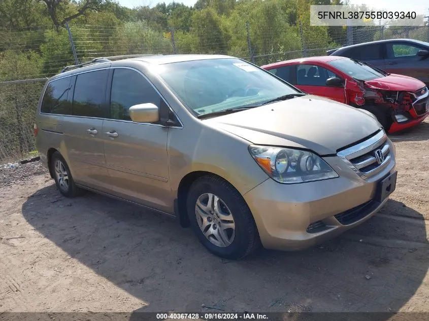 2005 Honda Odyssey Ex-L VIN: 5FNRL38755B039340 Lot: 40367428