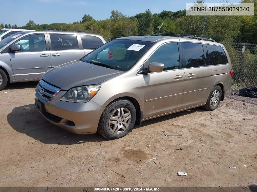 2005 Honda Odyssey Ex-L VIN: 5FNRL38755B039340 Lot: 40367428