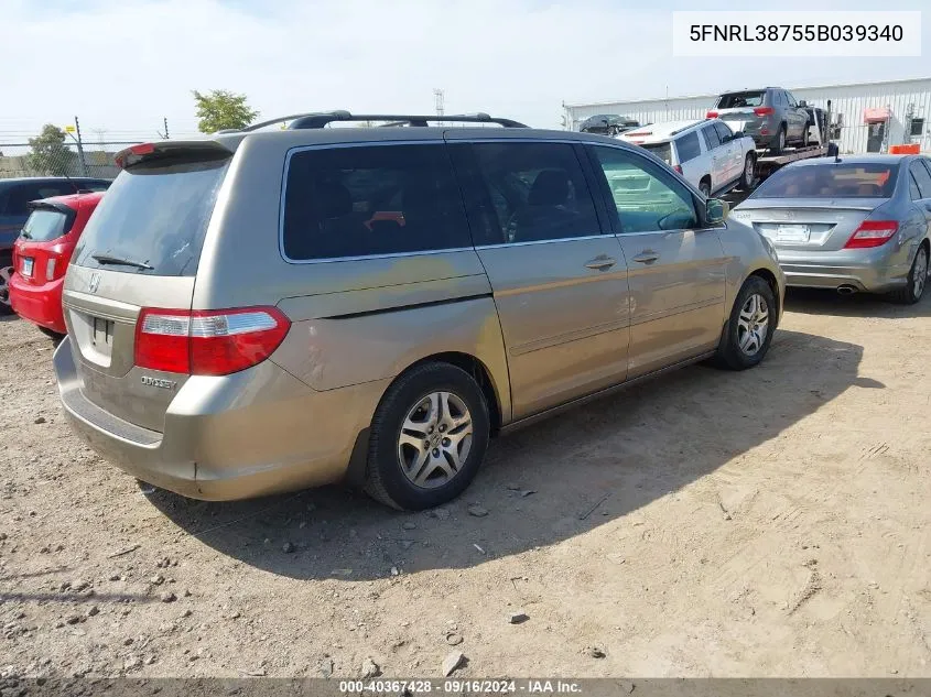 2005 Honda Odyssey Ex-L VIN: 5FNRL38755B039340 Lot: 40367428