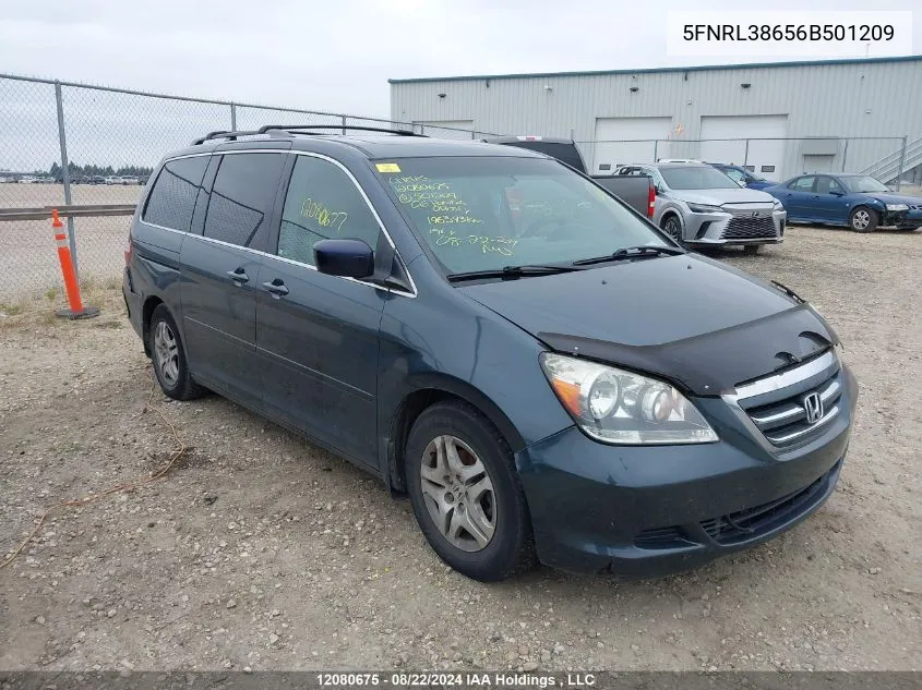 5FNRL38656B501209 2006 Honda Odyssey