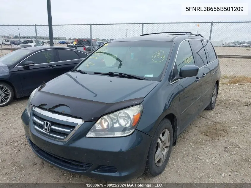 2006 Honda Odyssey VIN: 5FNRL38656B501209 Lot: 12080675