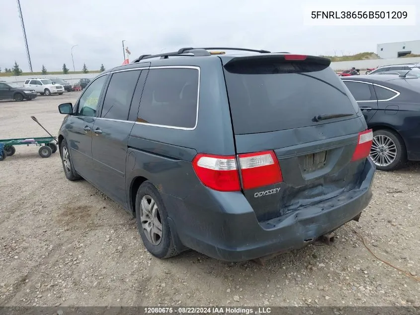 5FNRL38656B501209 2006 Honda Odyssey