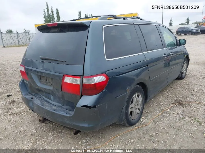 2006 Honda Odyssey VIN: 5FNRL38656B501209 Lot: 12080675