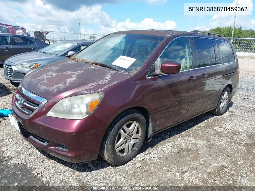 2007 Honda Odyssey Ex-L VIN: 5FNRL38687B459362 Lot: 40387977