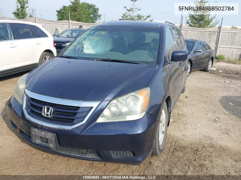 2008 Honda Odyssey VIN: 5FNRL38498B502784 Lot: 12083842