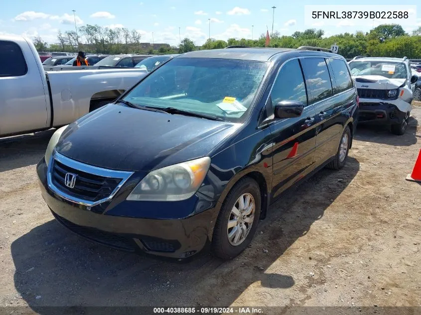 2009 Honda Odyssey Ex-L VIN: 5FNRL38739B022588 Lot: 40388685