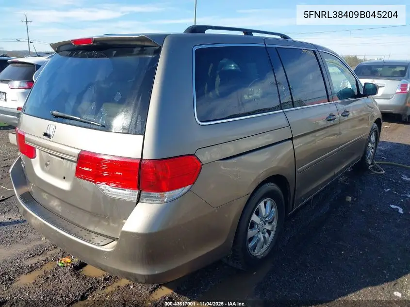 5FNRL38409B045204 2009 Honda Odyssey Ex