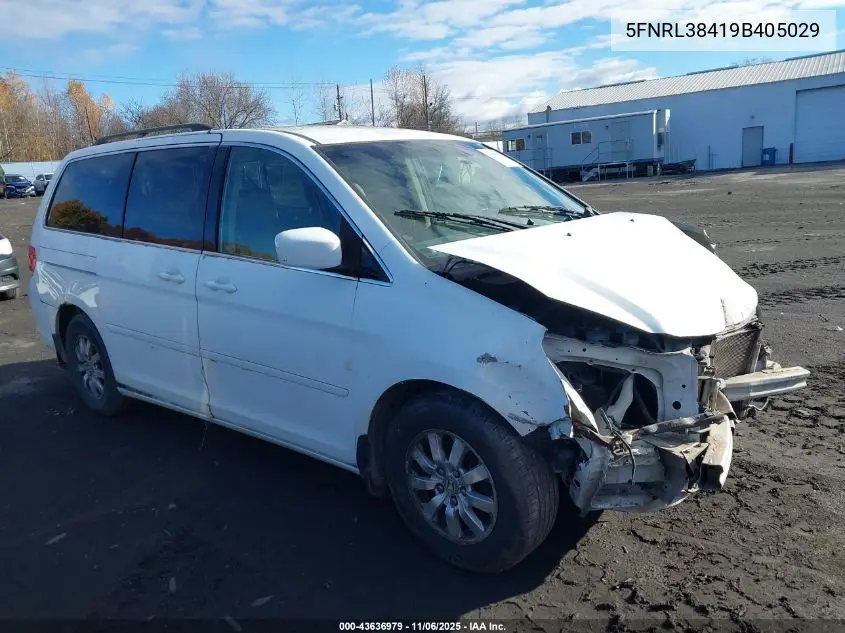 5FNRL38419B405029 2009 Honda Odyssey Ex