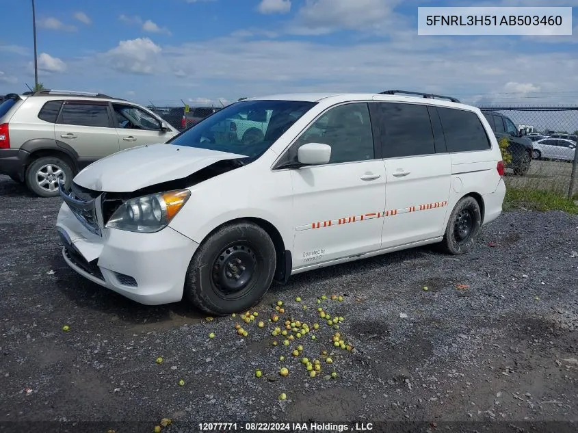 2010 Honda Odyssey VIN: 5FNRL3H51AB503460 Lot: 12077771