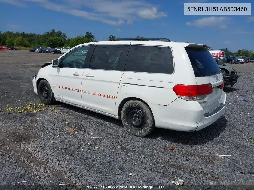 2010 Honda Odyssey VIN: 5FNRL3H51AB503460 Lot: 12077771