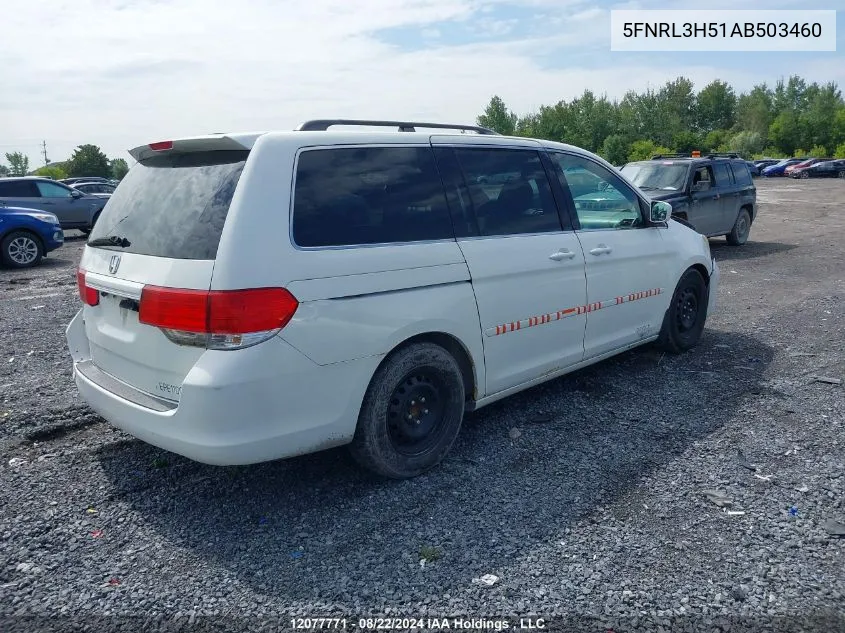 2010 Honda Odyssey VIN: 5FNRL3H51AB503460 Lot: 12077771