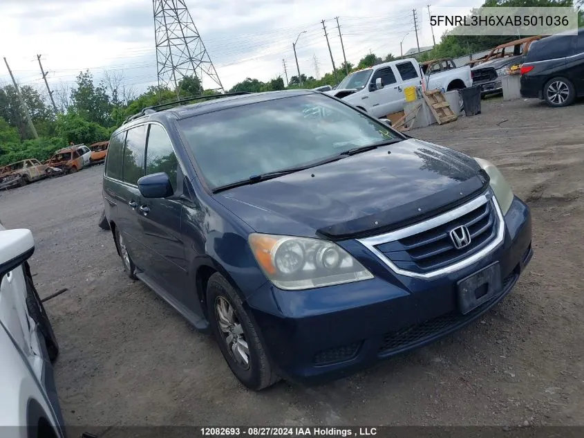 2010 Honda Odyssey VIN: 5FNRL3H6XAB501036 Lot: 12082693